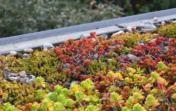 the cost of Beedon green roof installation
