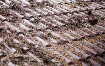 Beedon roof cleaning companies